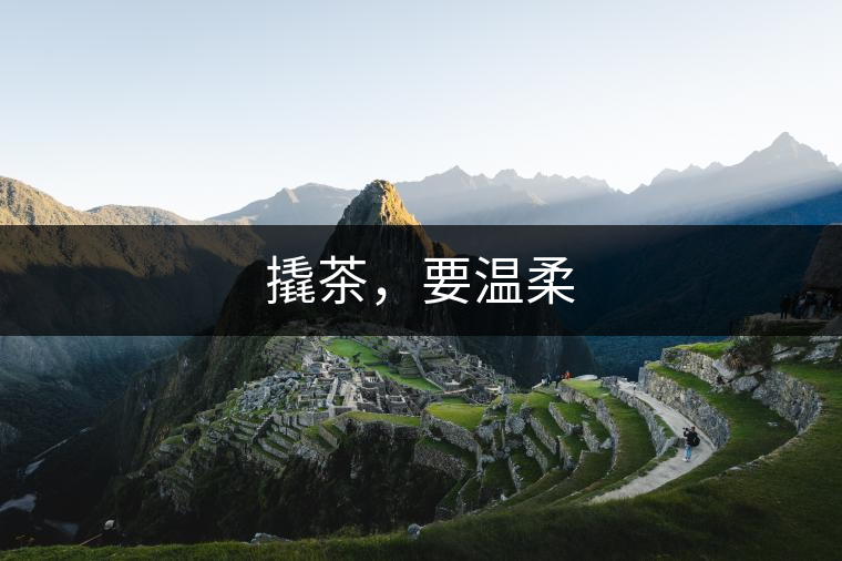 撬茶，要溫柔