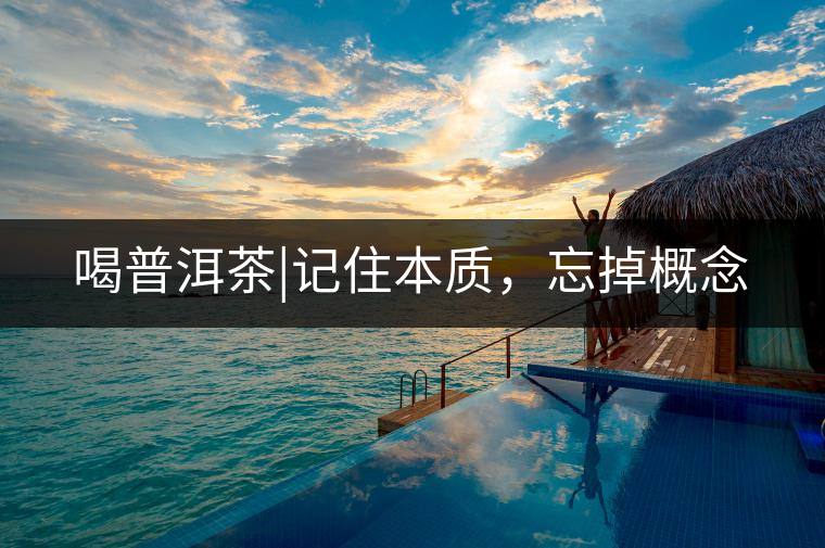 喝普洱茶|記住本質，忘掉概念