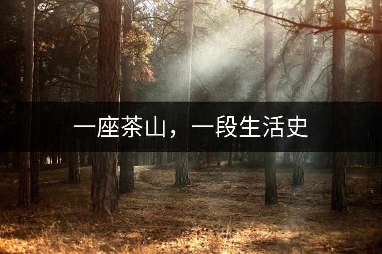 一座茶山，一段生活史