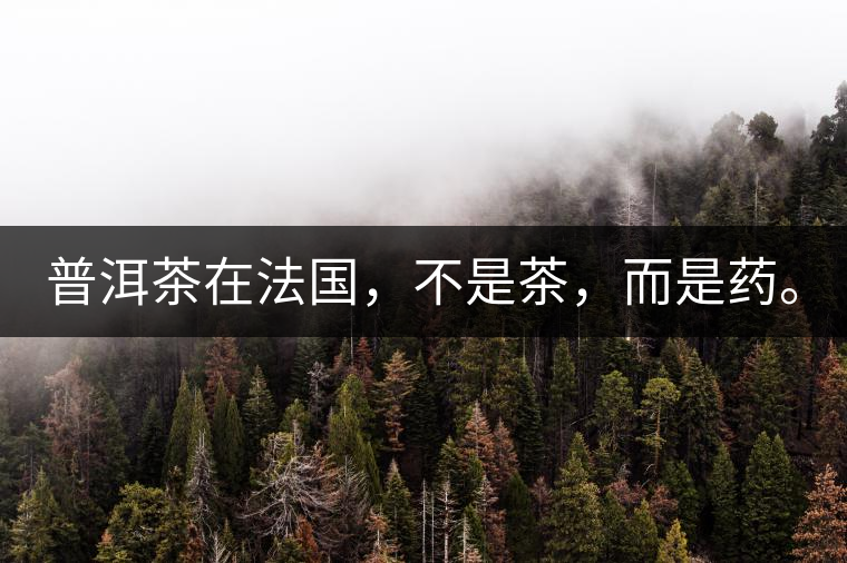 普洱茶在法國，不是茶，而是藥。