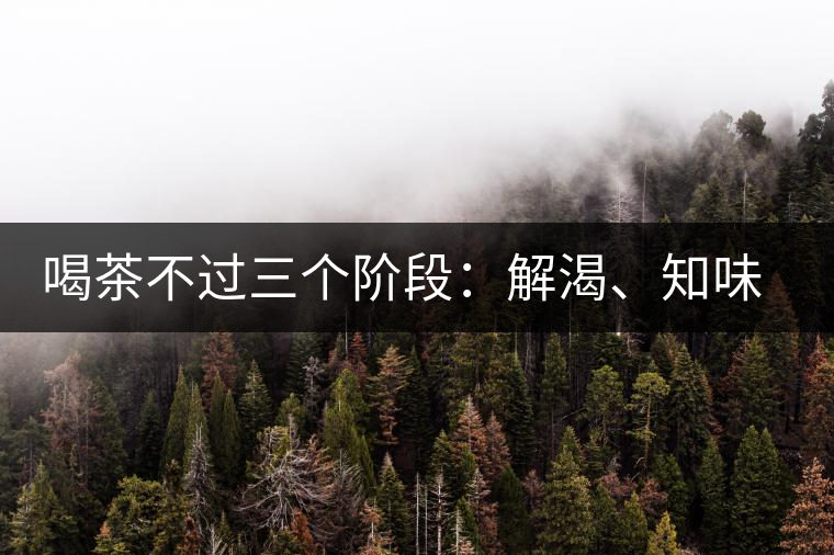 喝茶不過三個(gè)階段：解渴、知味、怡情