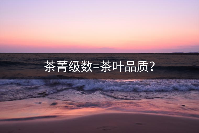 茶菁級數(shù)=茶葉品質(zhì)？