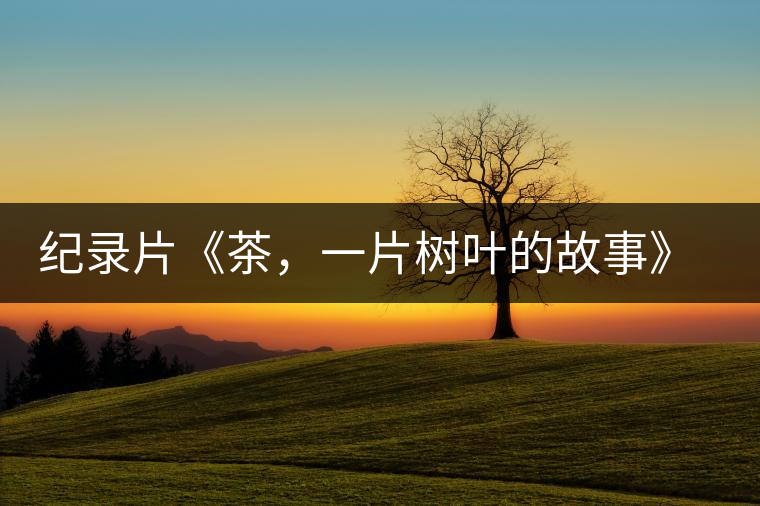 紀(jì)錄片《茶，一片樹葉的故事》 茶文化的詩意追尋