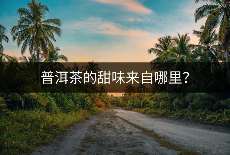 普洱茶的甜味來自哪里？