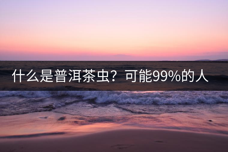 什么是普洱茶蟲？可能99%的人都不知道
