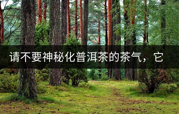 請(qǐng)不要神秘化普洱茶的茶氣，它是科學(xué)的存在