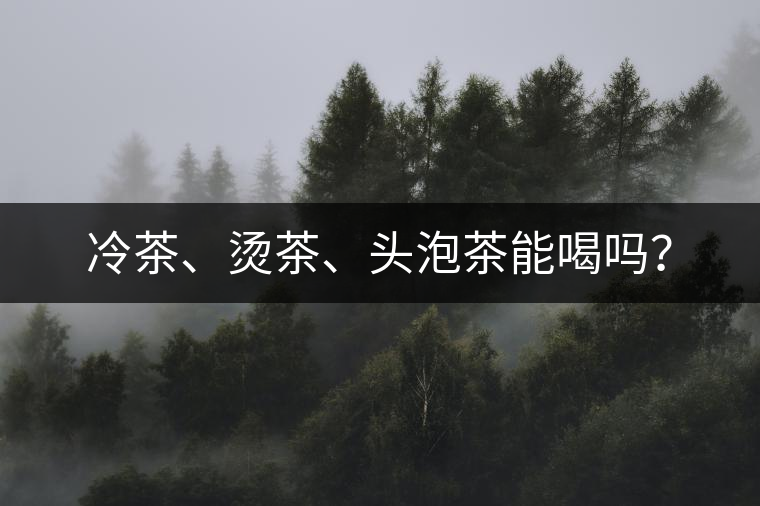 冷茶、燙茶、頭泡茶能喝嗎？