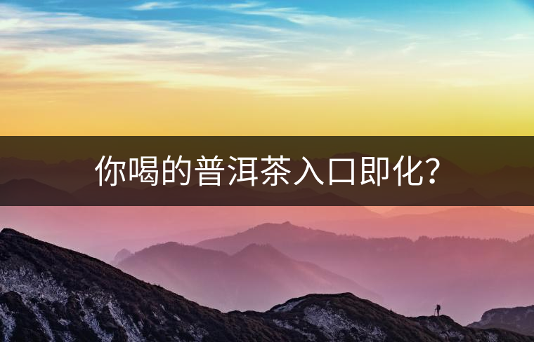 你喝的普洱茶入口即化？