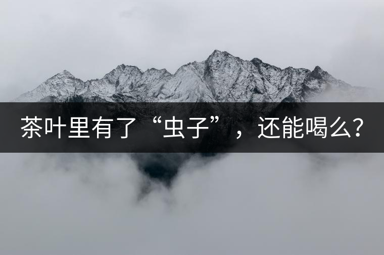 茶葉里有了“蟲(chóng)子”，還能喝么？