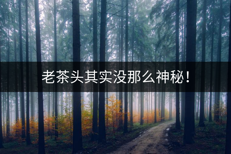 老茶頭其實(shí)沒那么神秘！