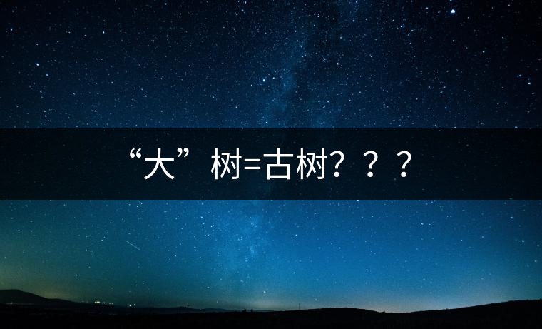“大”樹=古樹？？？