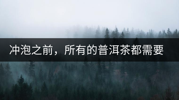 沖泡之前，所有的普洱茶都需要醒茶嗎？
