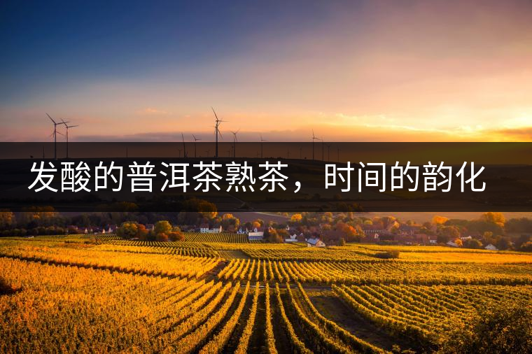 發(fā)酸的普洱茶熟茶，時(shí)間的韻化會(huì)讓它驚艷無比！