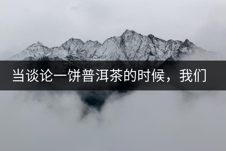 當談論一餅普洱茶的時候，我們該談些什么？
