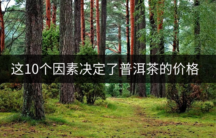 這10個因素決定了普洱茶的價格？