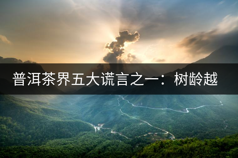 普洱茶界五大謊言之一：樹齡越高，品質(zhì)越好