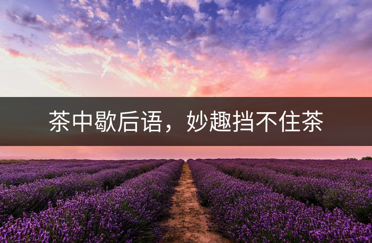 茶中歇后語，妙趣擋不住茶