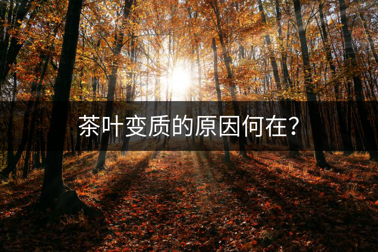 茶葉變質(zhì)的原因何在？