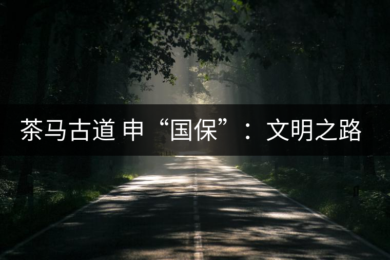 茶馬古道 申“國(guó)?！保何拿髦返脑侔l(fā)現(xiàn)