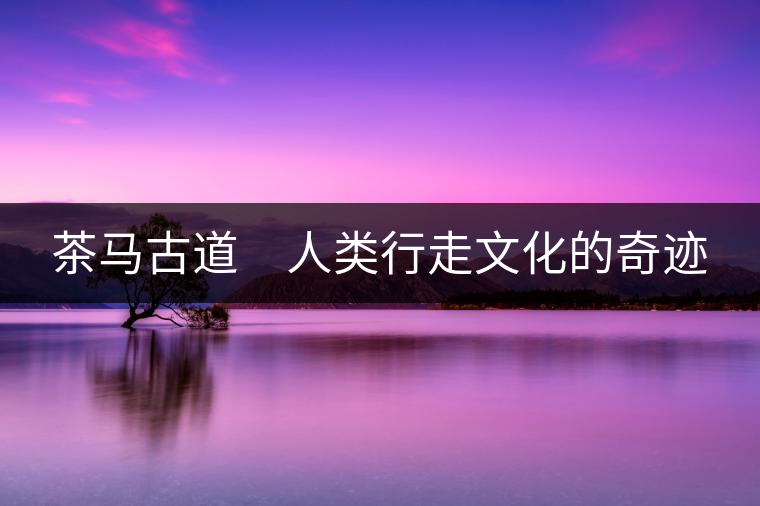茶馬古道 人類行走文化的奇跡 茶馬古道 人類行走文化的奇跡