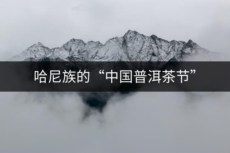 哈尼族的“中國普洱茶節(jié)” 哈尼族的“中國普洱茶節(jié)”