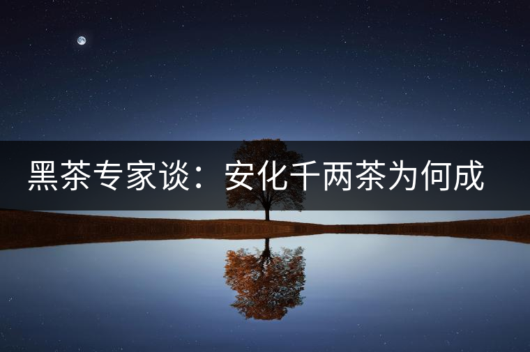 黑茶專家談：安化千兩茶為何成“世界茶王”？
