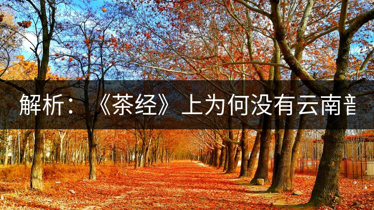 解析：《茶經(jīng)》上為何沒有云南普洱茶 ？