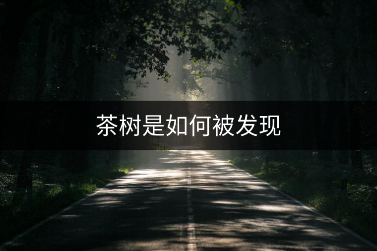 茶樹是如何被發(fā)現(xiàn)