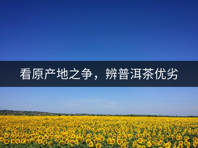 看原產(chǎn)地之爭(zhēng)，辨普洱茶優(yōu)劣
