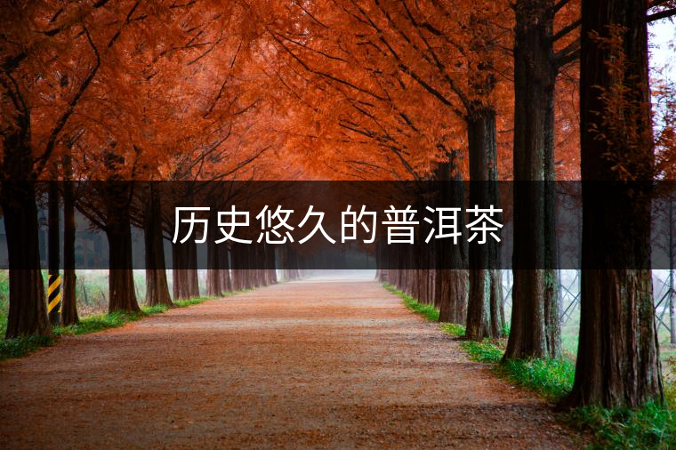 歷史悠久的普洱茶