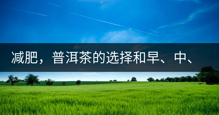 減肥，普洱茶的選擇和早、中、晚的喝法