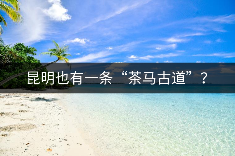 昆明也有一條“茶馬古道”？