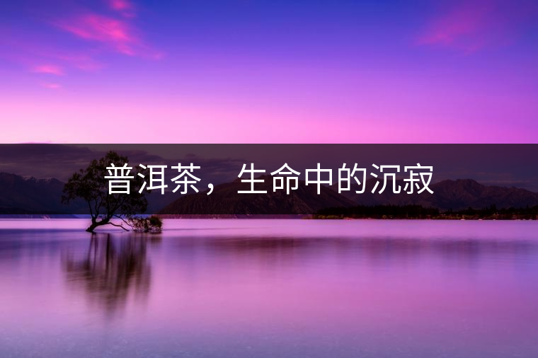 普洱茶，生命中的沉寂