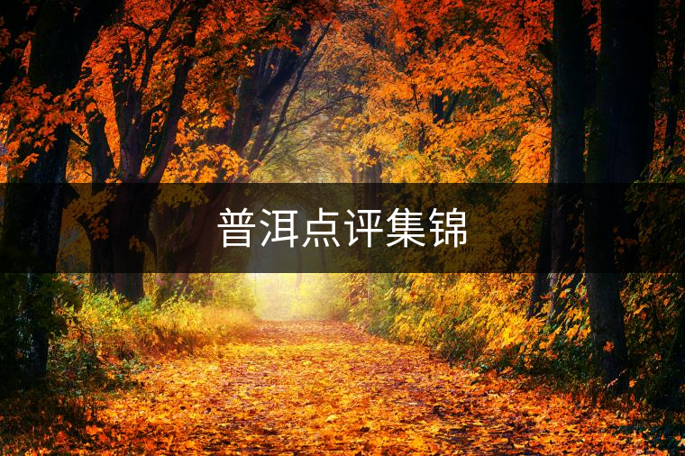 普洱點(diǎn)評集錦 普洱點(diǎn)評集錦