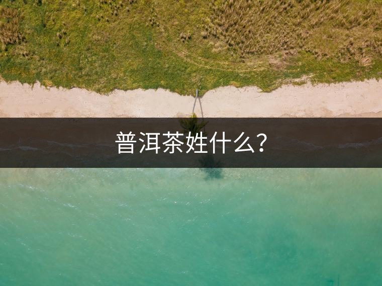 普洱茶姓什么？
