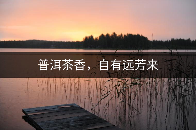 普洱茶香，自有遠(yuǎn)芳來