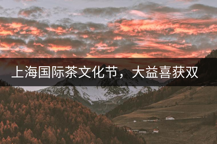 上海國(guó)際茶文化節(jié)，大益喜獲雙獎(jiǎng)