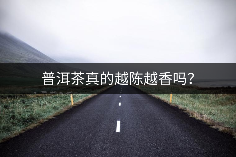 普洱茶真的越陳越香嗎？