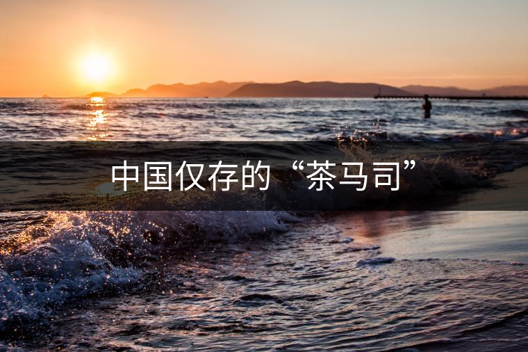 中國(guó)僅存的“茶馬司”