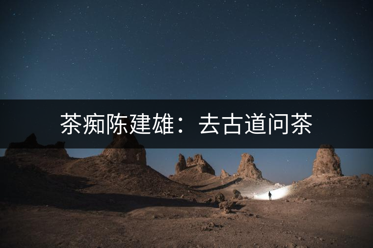 茶癡陳建雄:去古道問茶 茶癡陳建雄:去古道問茶