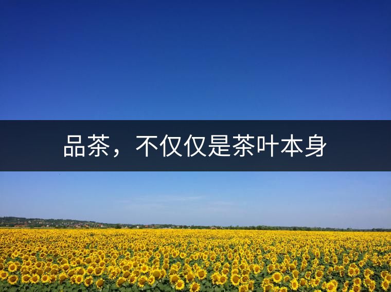 品茶，不僅僅是茶葉本身