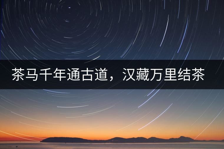 茶馬千年通古道，漢藏萬里結(jié)茶緣
