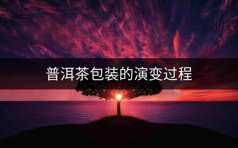 普洱茶包裝的演變過程