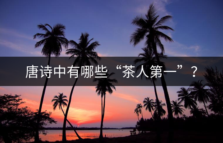 唐詩中有哪些“茶人第一”？