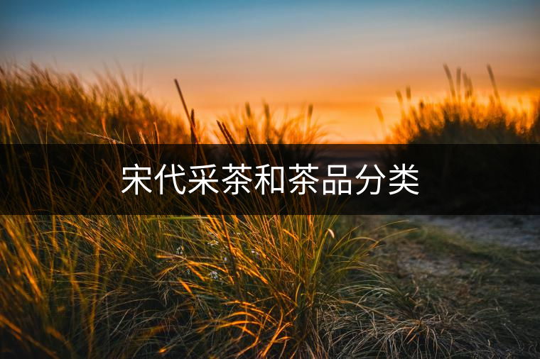 宋代采茶和茶品分類(lèi)