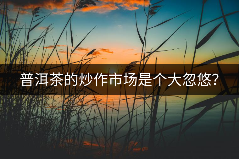 普洱茶的炒作市場是個(gè)大忽悠？