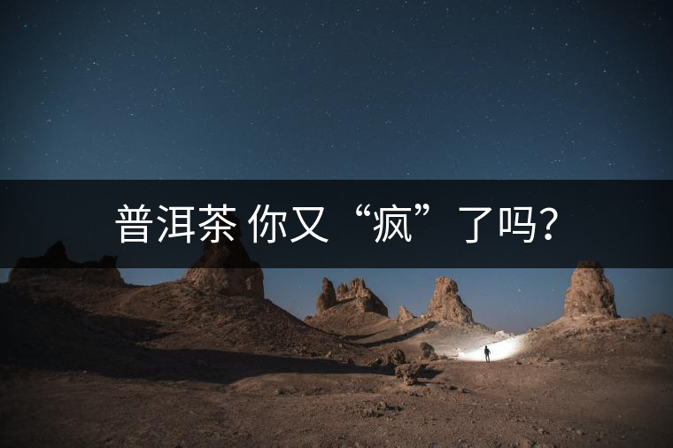 普洱茶 你又“瘋”了嗎? 普洱茶 你又“瘋”了嗎?