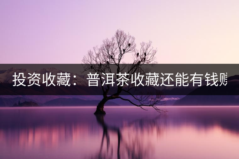 投資收藏：普洱茶收藏還能有錢賺嗎？