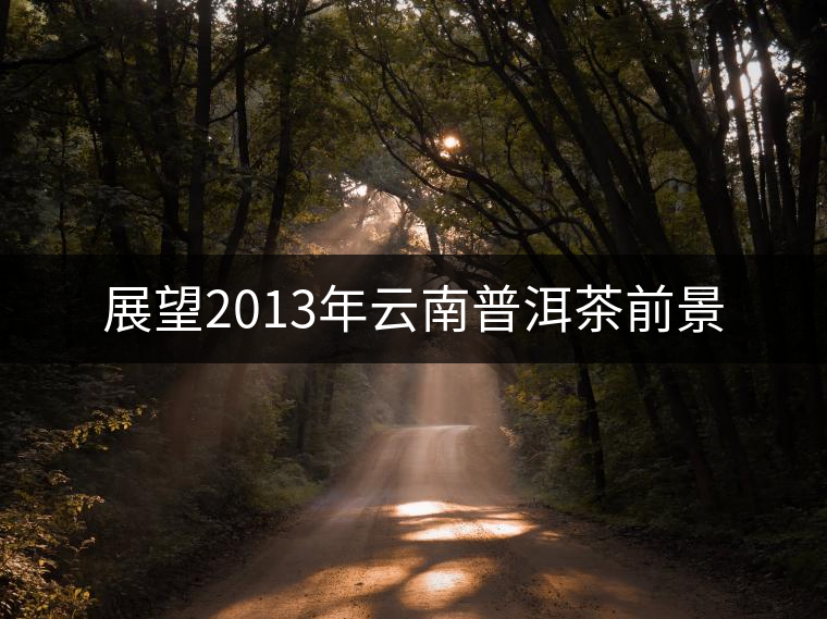 展望2013年云南普洱茶前景 展望2013年云南普洱茶前景