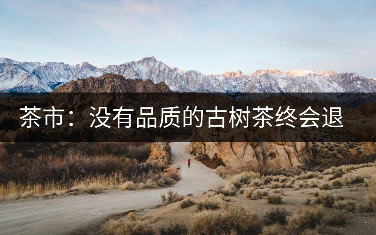 茶市:沒有品質(zhì)的古樹茶終會(huì)退出市場 茶市:沒有品質(zhì)的古樹茶終會(huì)退出市場